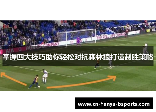 掌握四大技巧助你轻松对抗森林狼打造制胜策略