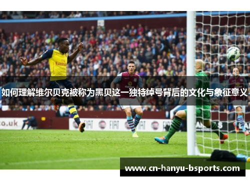 如何理解维尔贝克被称为黑贝这一独特绰号背后的文化与象征意义