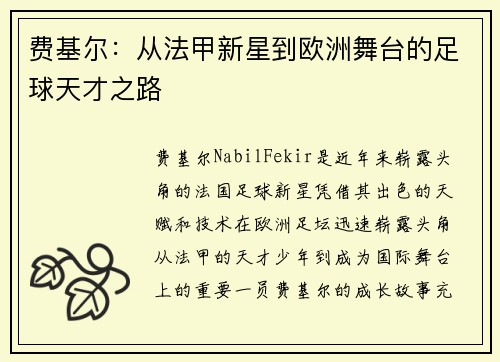 费基尔：从法甲新星到欧洲舞台的足球天才之路