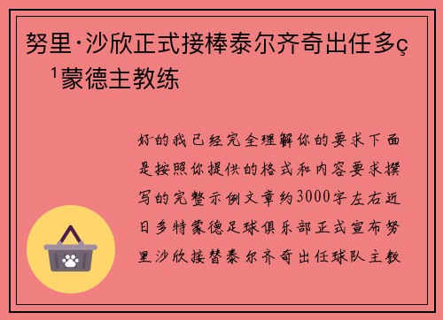 努里·沙欣正式接棒泰尔齐奇出任多特蒙德主教练