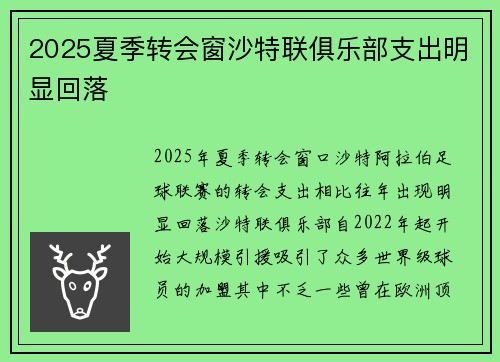 2025夏季转会窗沙特联俱乐部支出明显回落