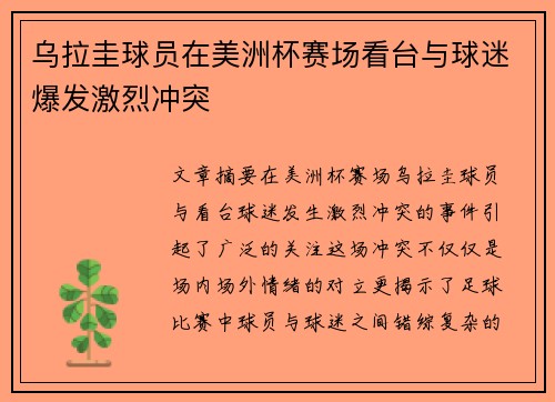 乌拉圭球员在美洲杯赛场看台与球迷爆发激烈冲突 乌拉圭球员在美洲杯赛场看台与球迷爆发激烈冲突